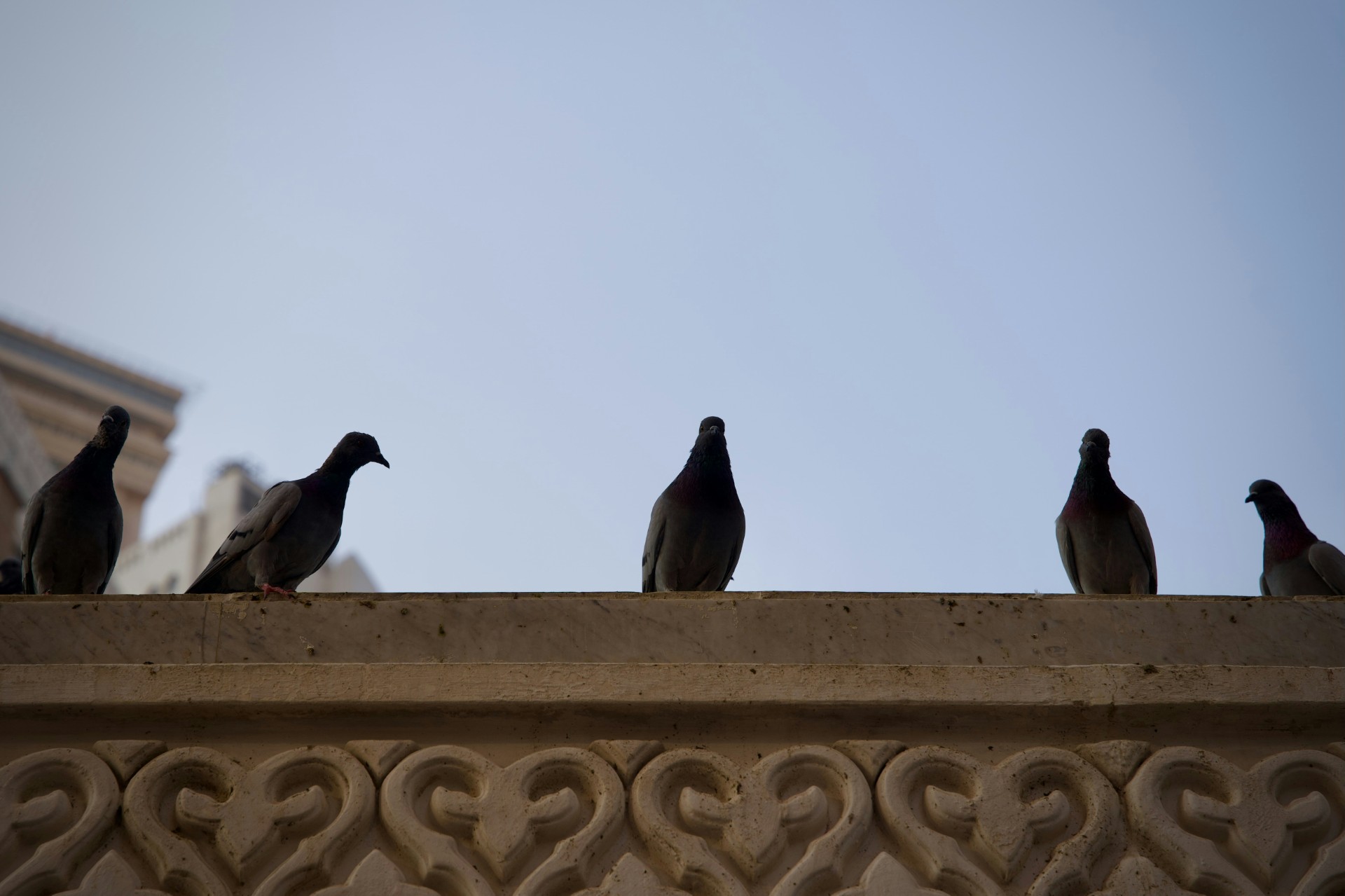 Meditativní procházka na téma Zapomenuté ženy