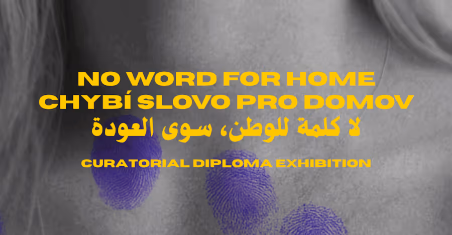 Artivist Lab: No word for home
