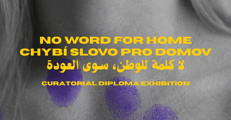 Artivist Lab: No word for home 