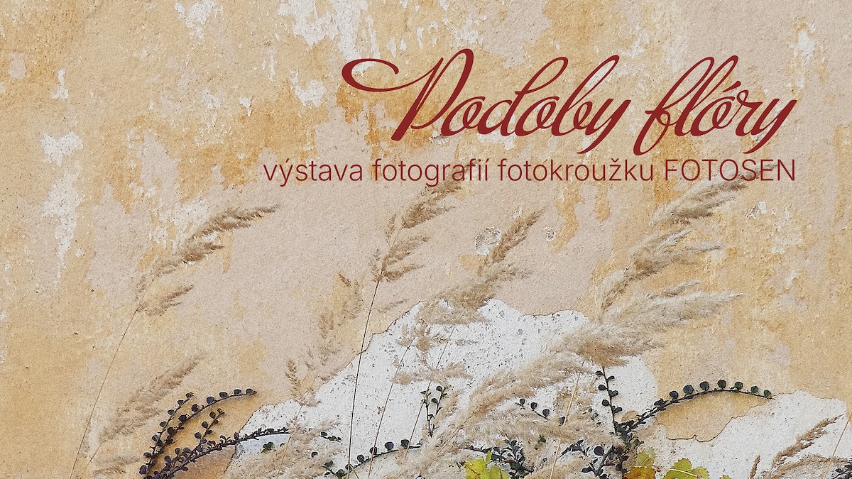 PODOBY FLÓRY | výstava fotografií