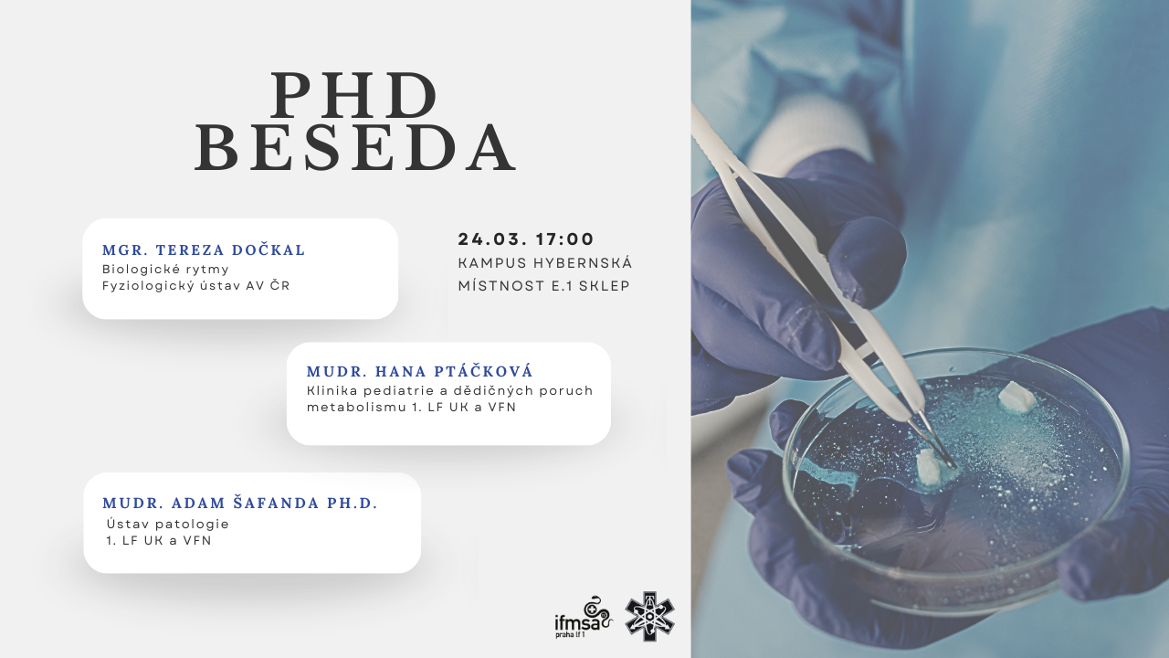 PHD BESEDA