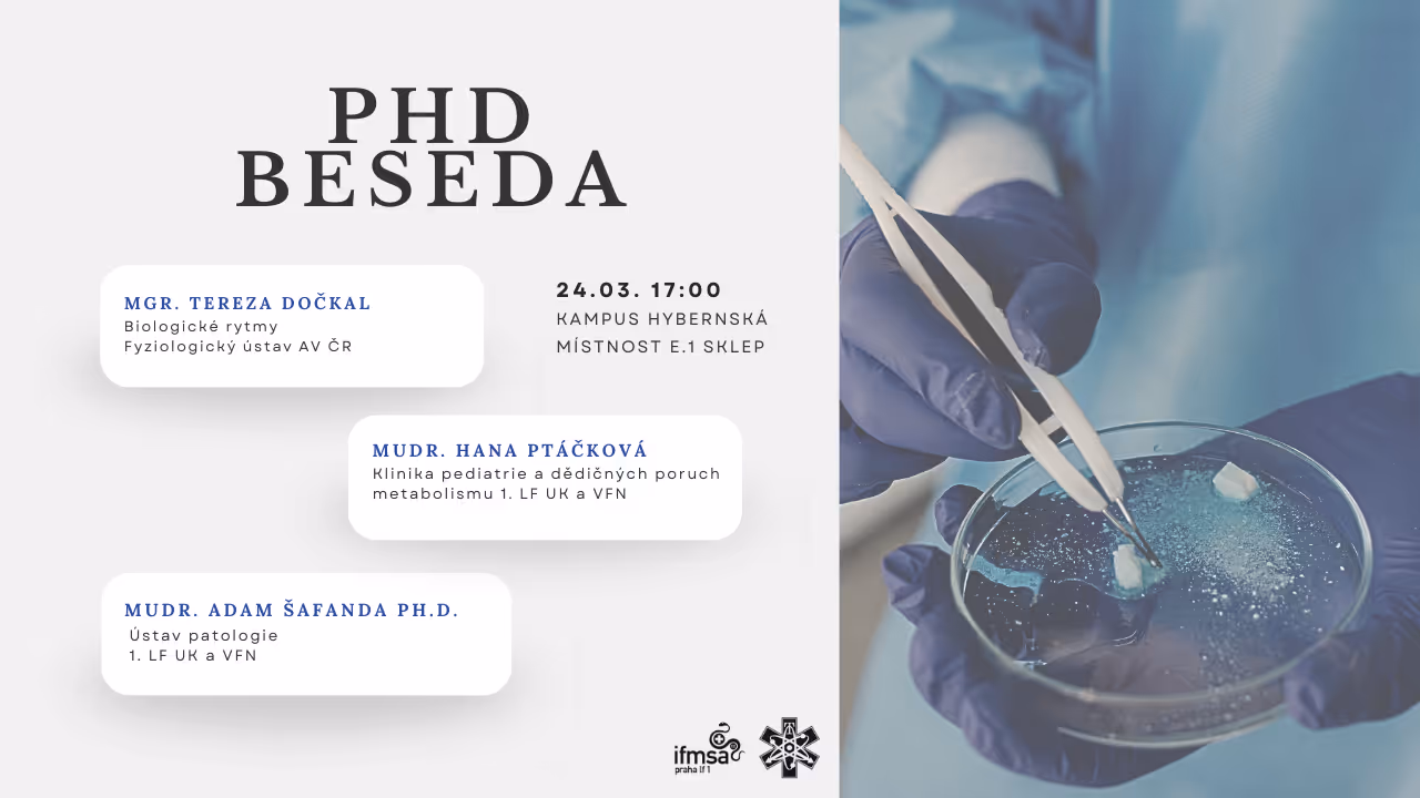 PHD BESEDA
