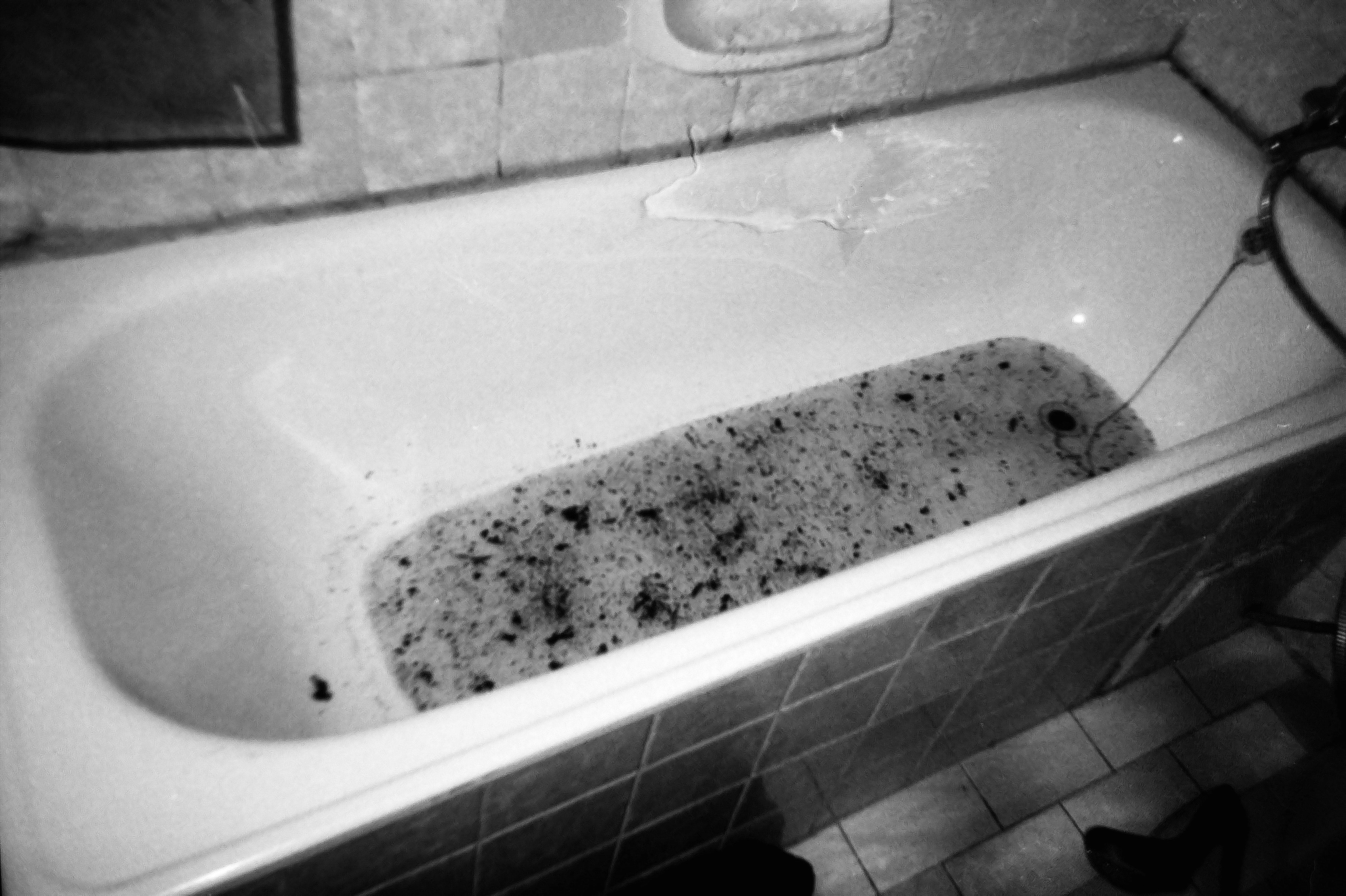 HYB4 Čítárna: doma kosti šťávy chemie | básnictvo  