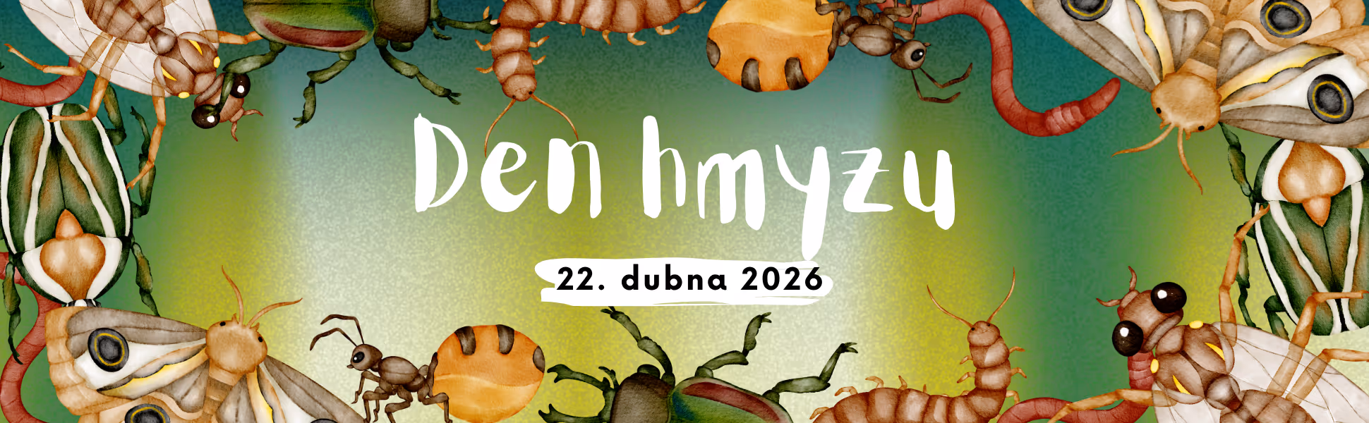 Den hmyzu v Didaktikonu ukáže, že i ten nejmenší tvor může být fascinující