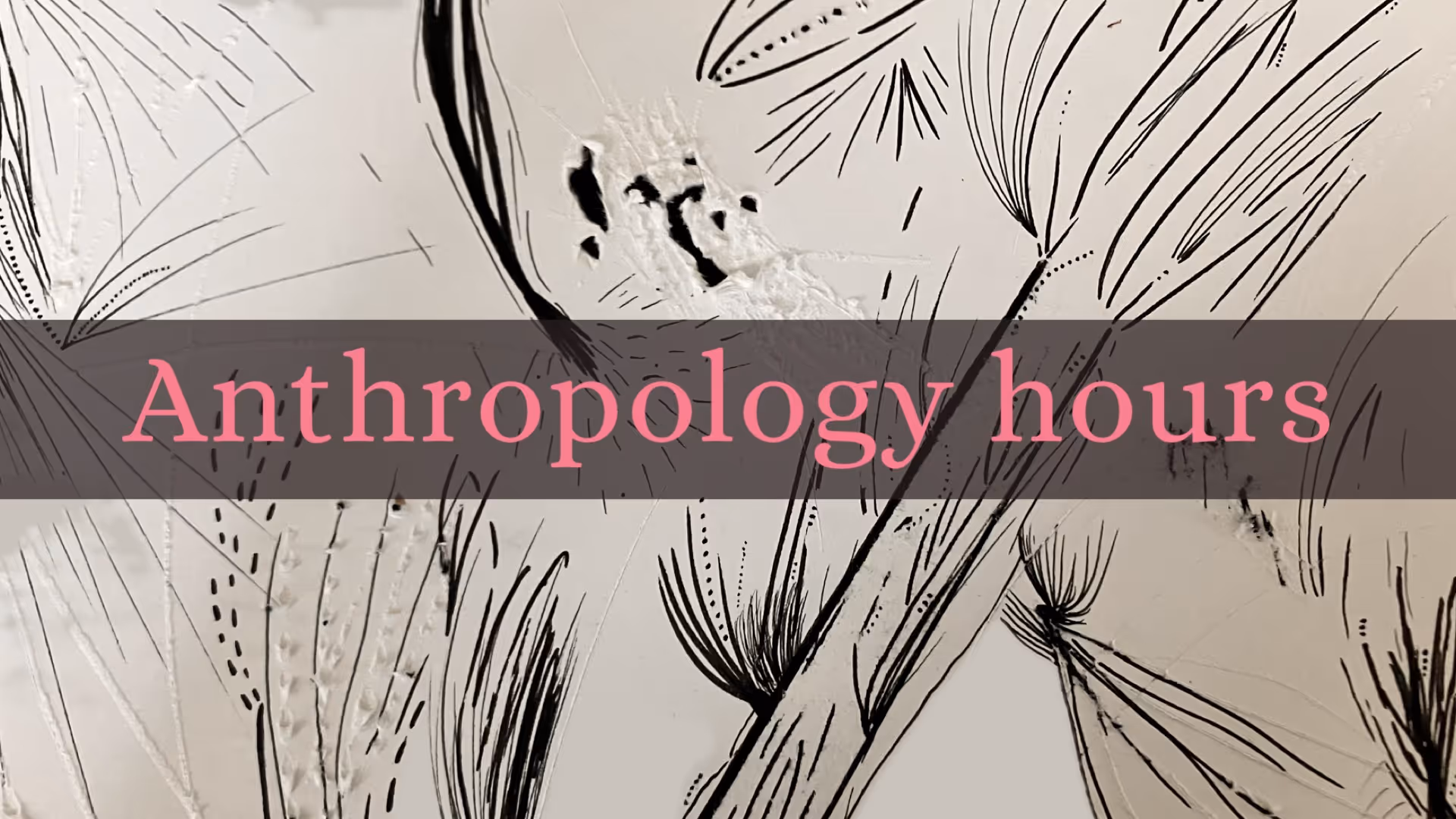 Anthropology hours - Sociálně-ekologická transformace potravinového systému