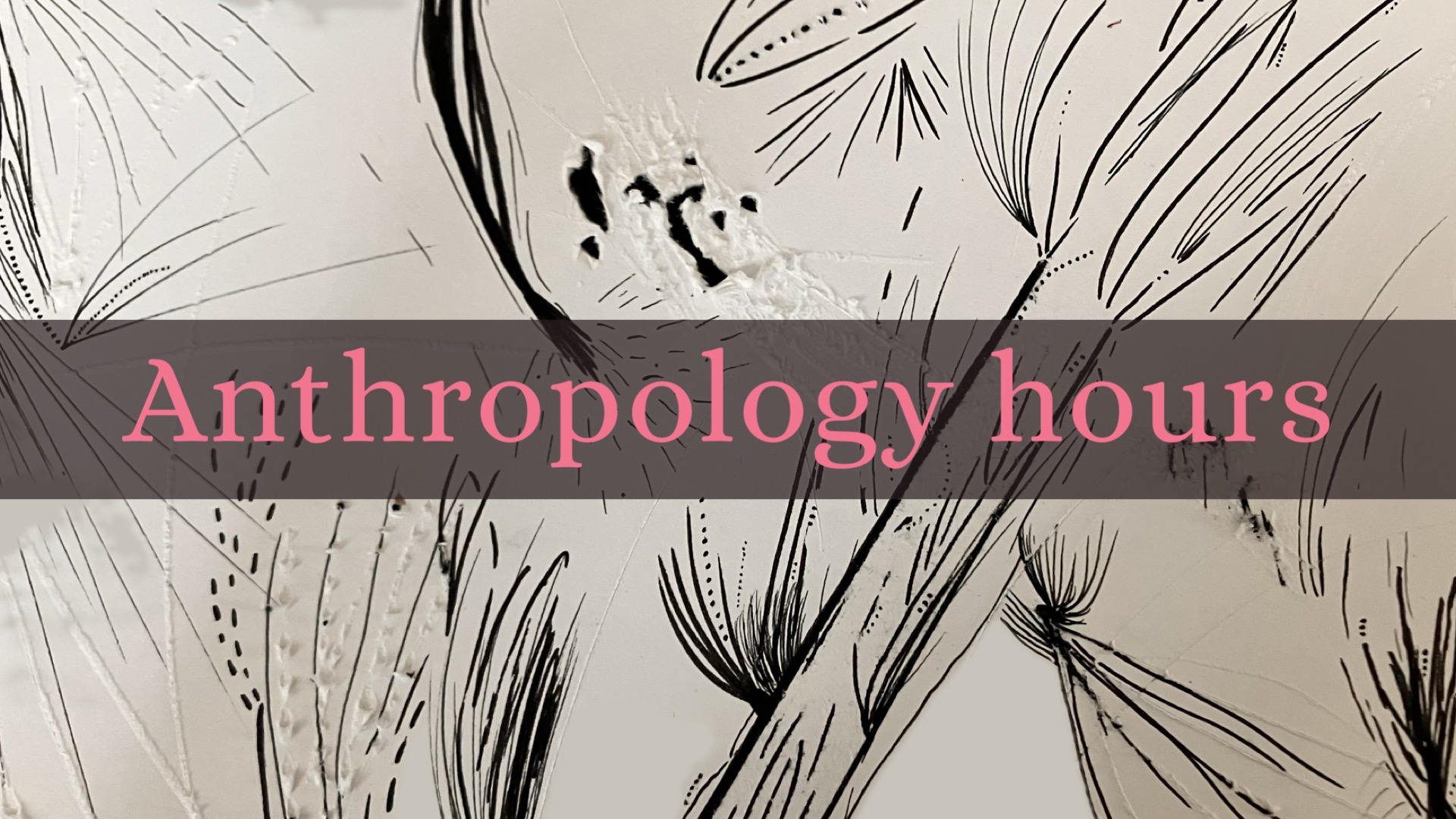 Anthropology hours - Sociálně-ekologická transformace potravinového systému