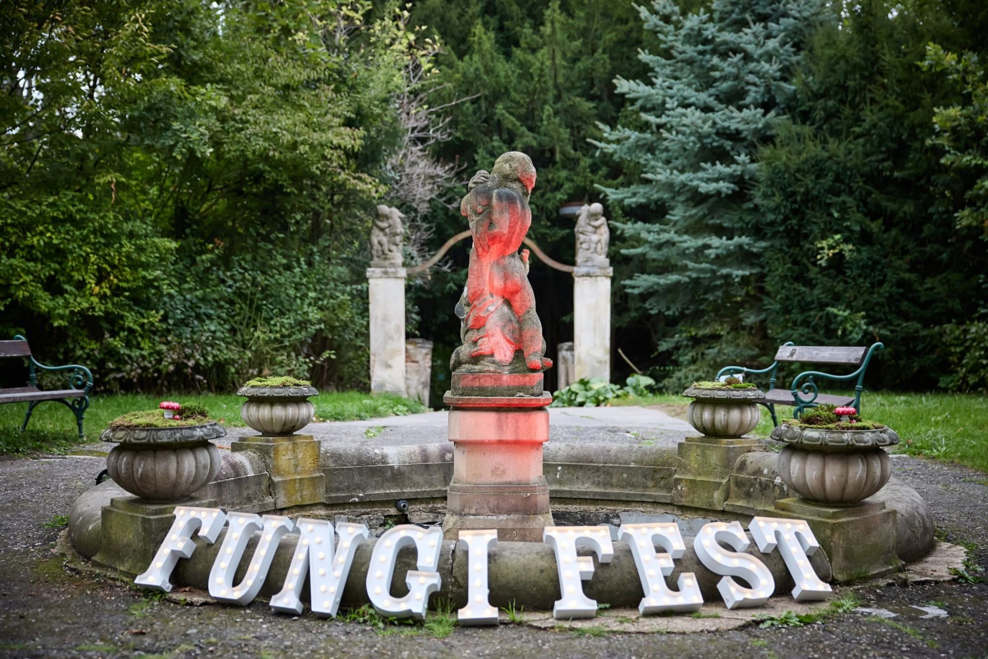 CZECH FUNGI FEST 2026