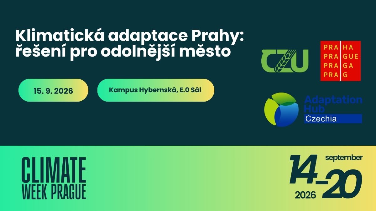 Klimatická adaptace Prahy: řešení pro odolnější město