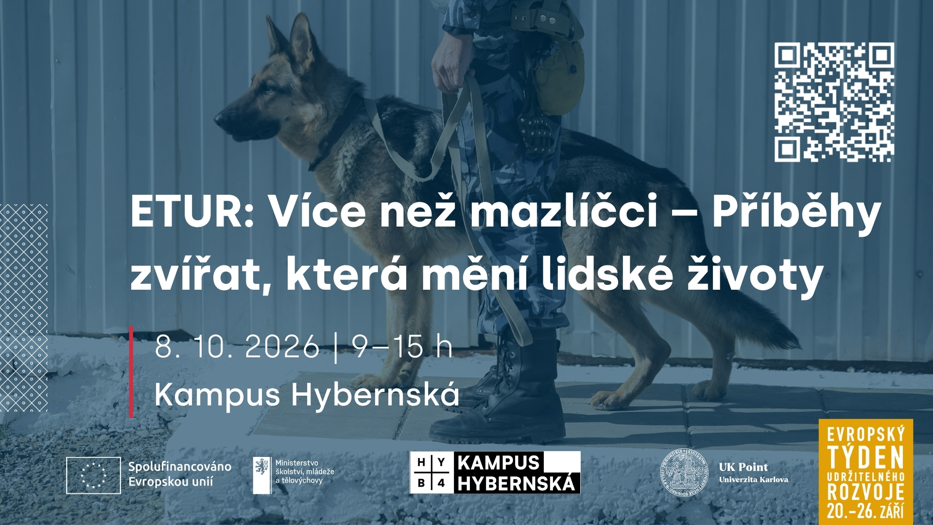 Více než mazlíčci – Příběhy zvířat, která mění lidské životy