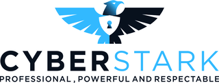 Cyber Stark — Professional, Powerful and Respectable