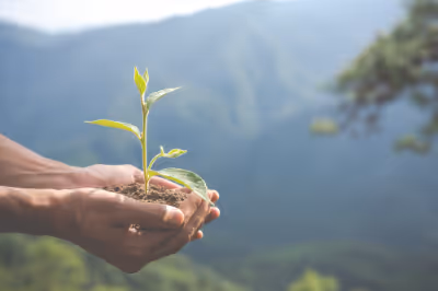 Sustain Biodegradable Nitrile Exam Gloves: A Solution for a Greener Future