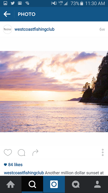 Screen Shot 2016-01-21 at 11.35.21 AM