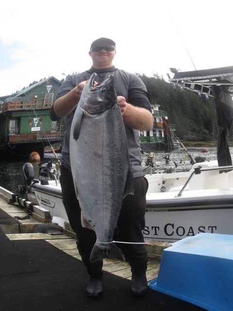 17.5 lb coho
