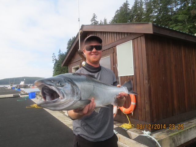northern coho