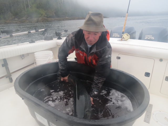 * Reviving the Tyee in the hippaquarium. 