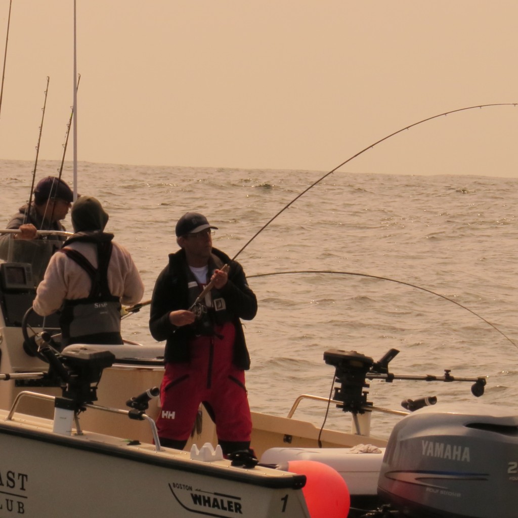 Rory, Sam and Mons exhibiting strong focus