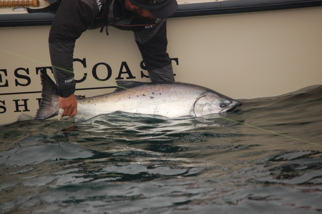 This one swam away strong!