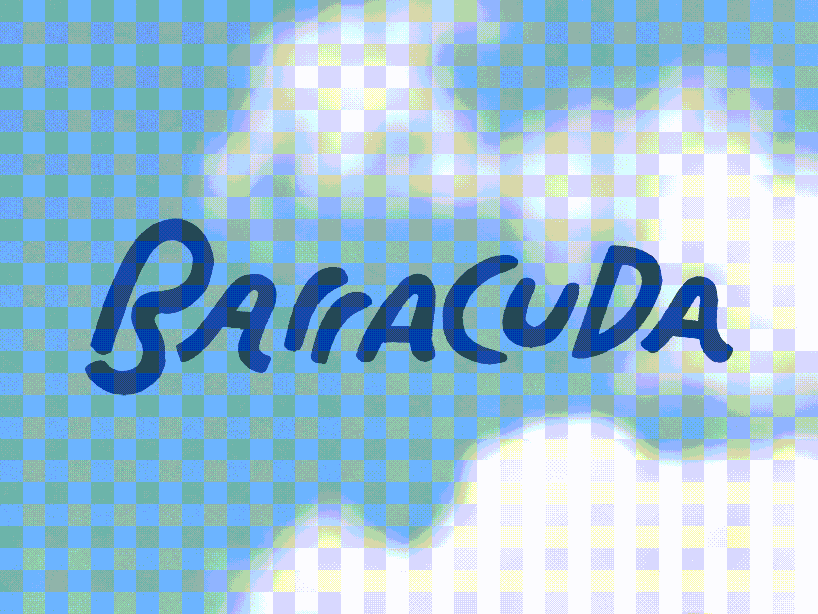 Barracuda