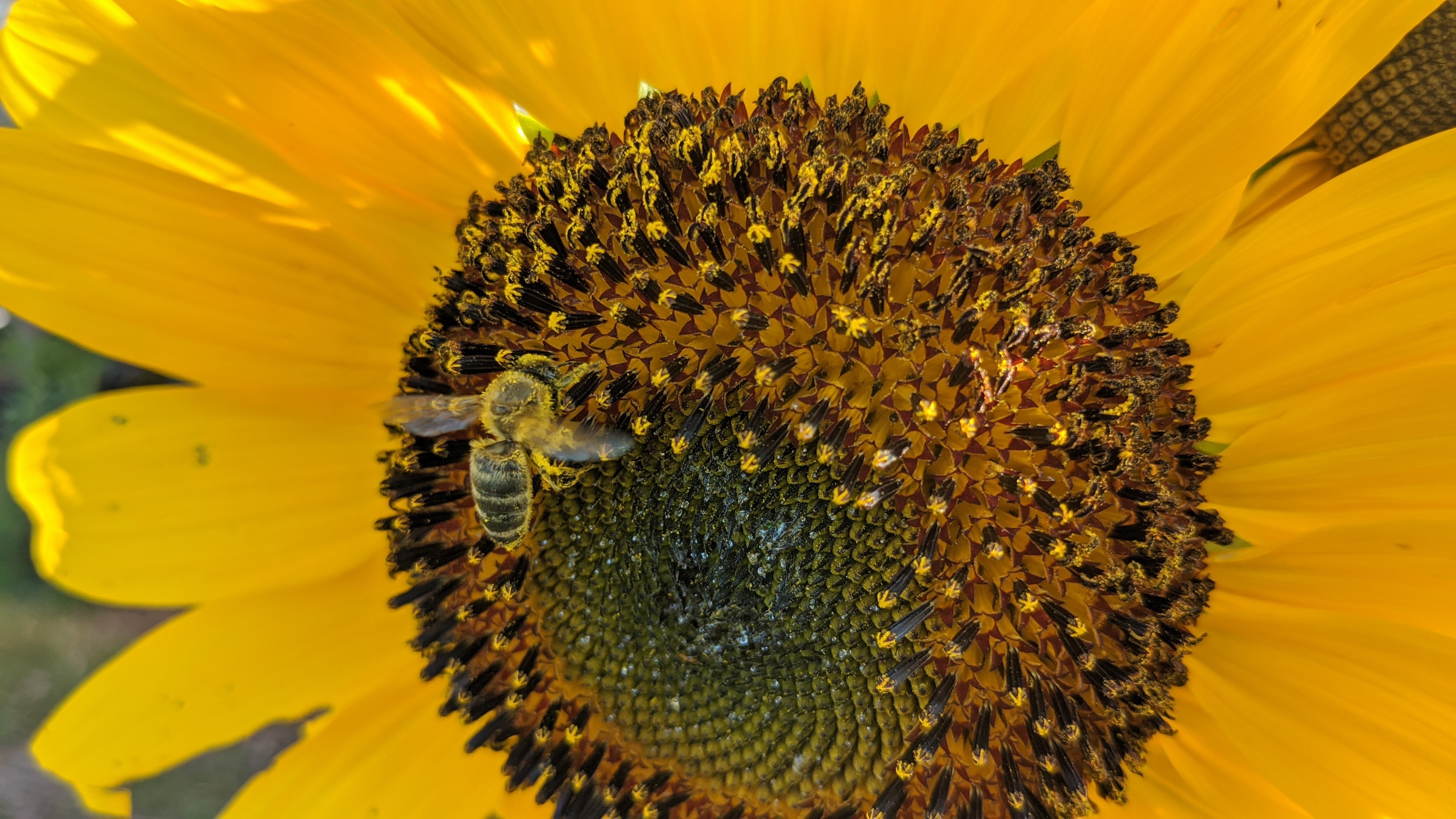 Zawadi Connections education and food literacy programming