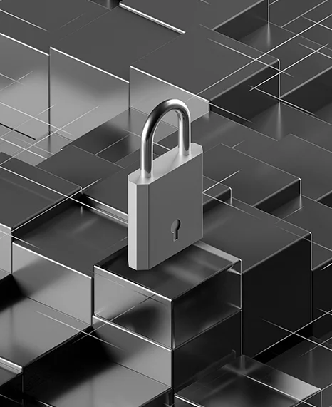 Security server image