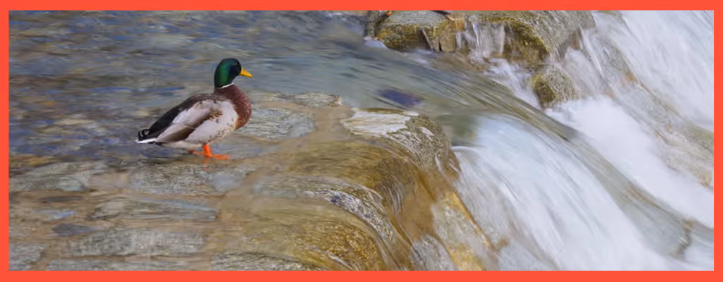 Why Every B2B Marketer Should Implement a “Waterfall Content” Strategy