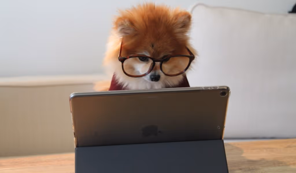 dog-using-laptop