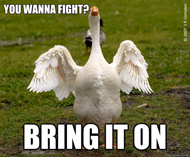 fighting-goose-meme
