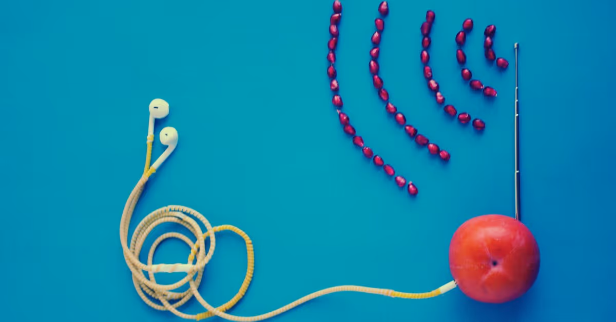 Podcast Distribution: Directories, Syndication & More