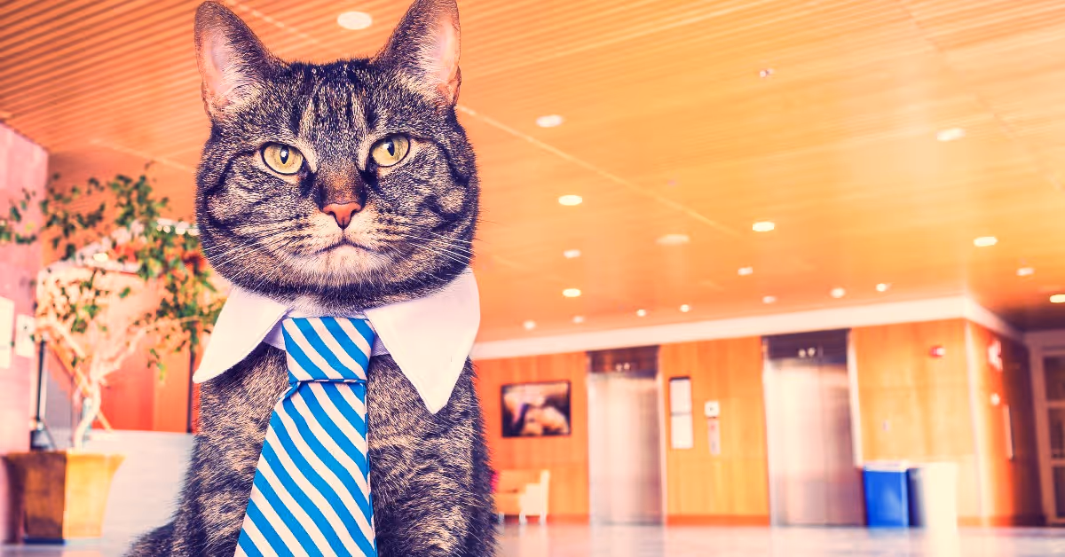 B2B Marketing Examples, Types & Strategies