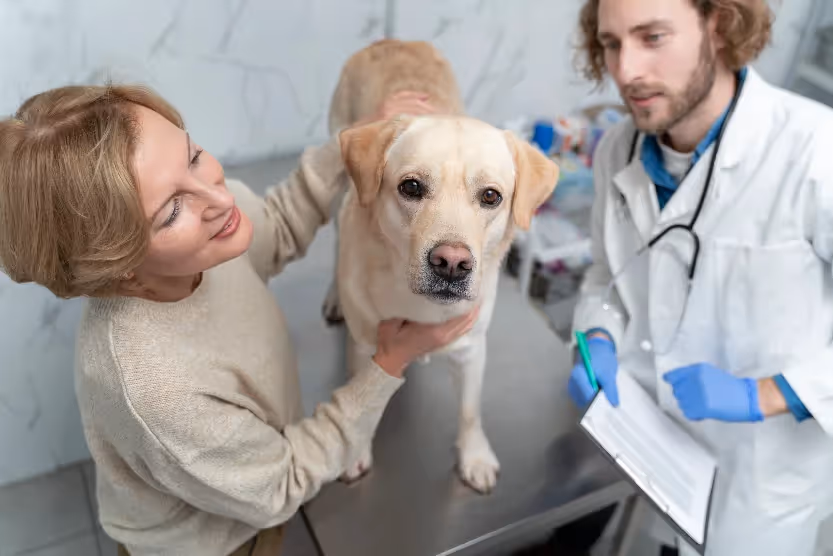 cane dal veterinario