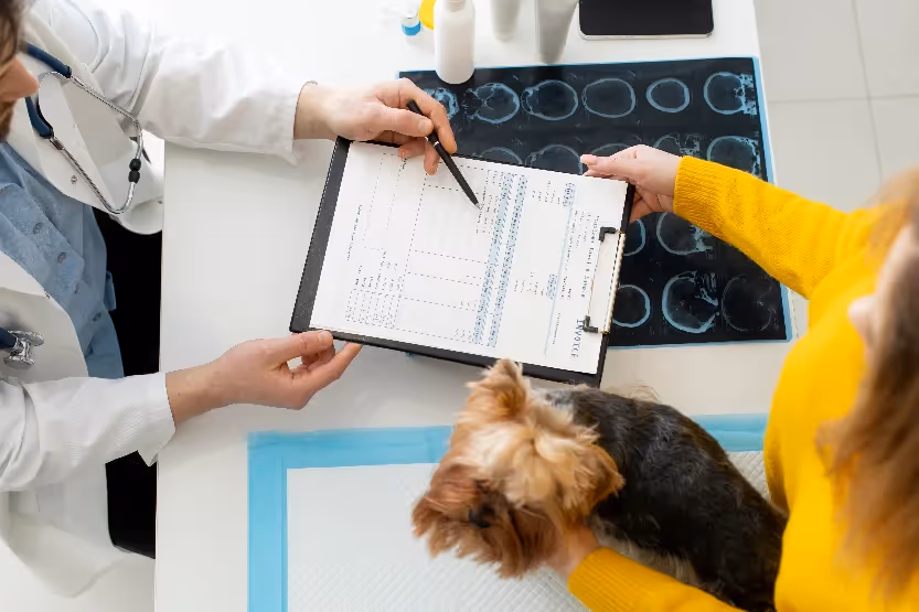 assicurazione veterinaria
