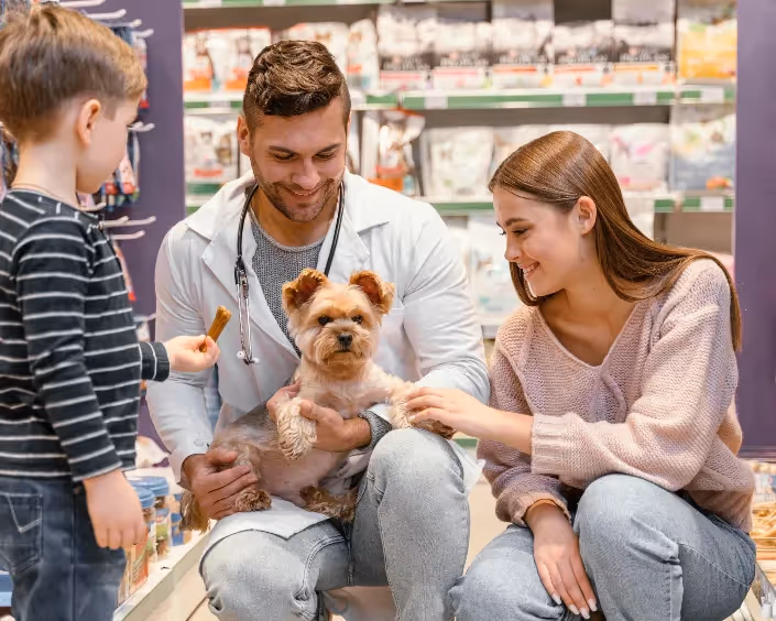 spese del veterinario