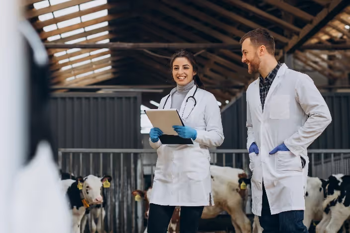 formazione veterinari