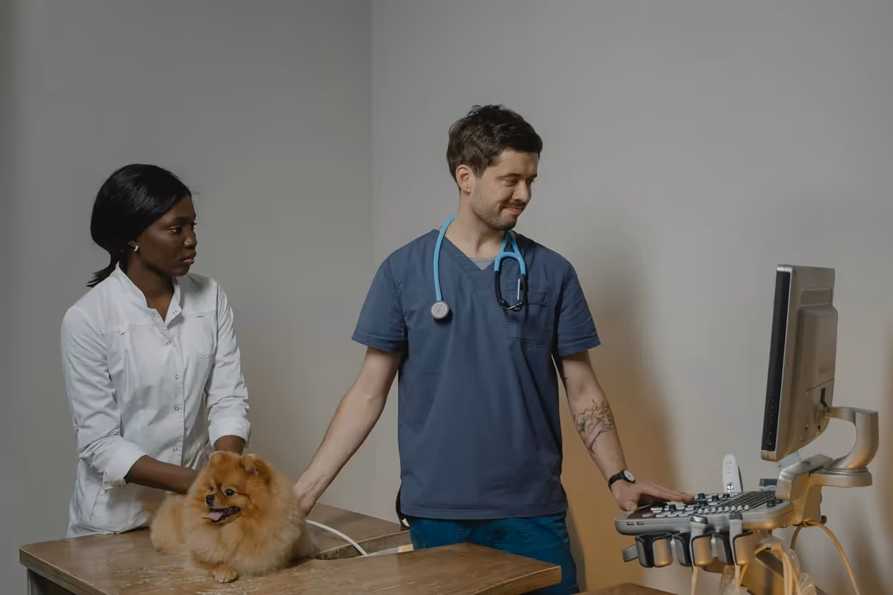 veterinario specialistico