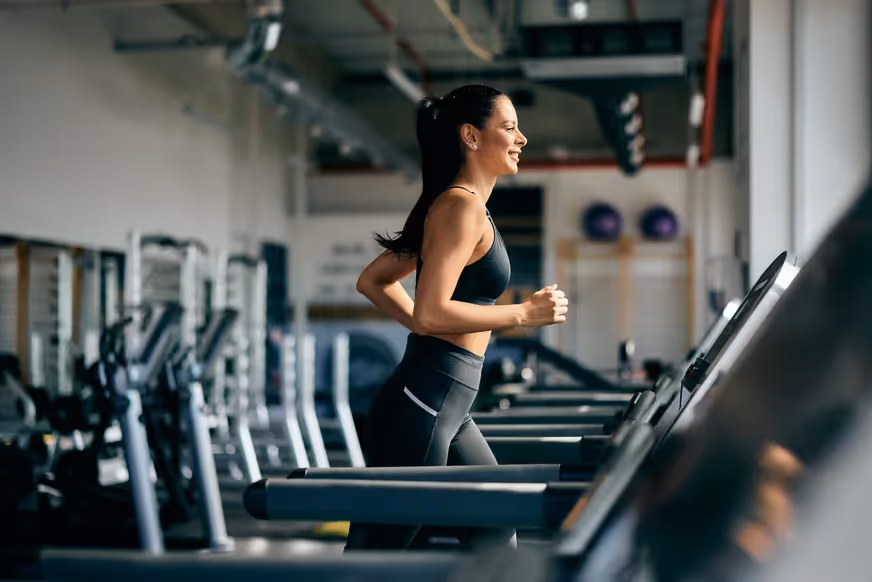 idee scheda palestra