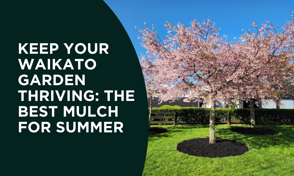 Summer-Ready Gardens: Why Mulching Matters in the Waikato