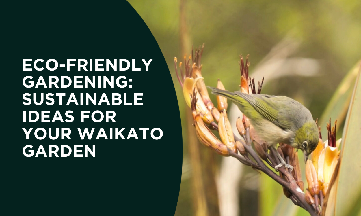 Eco-Friendly Gardening: Sustainable Ideas for Your Waikato Garden