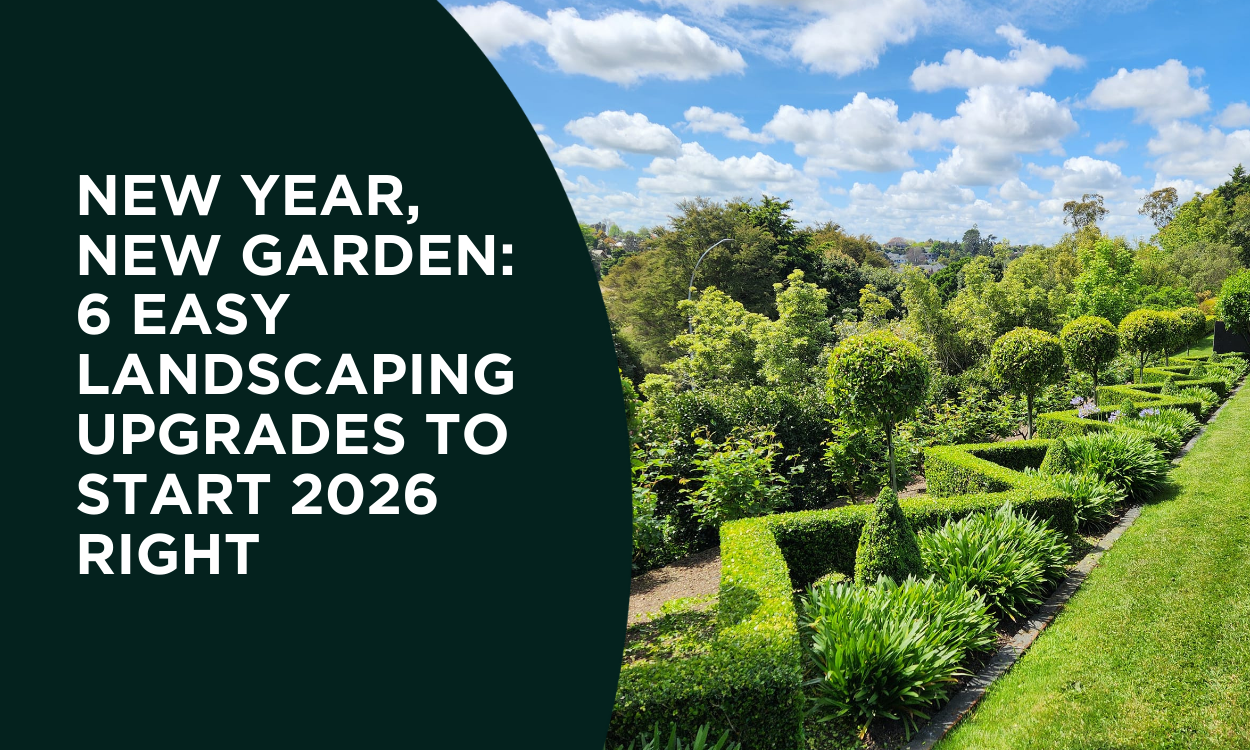 New Year, New Garden: 6 Easy Landscaping Upgrades to Start 2026 Right
