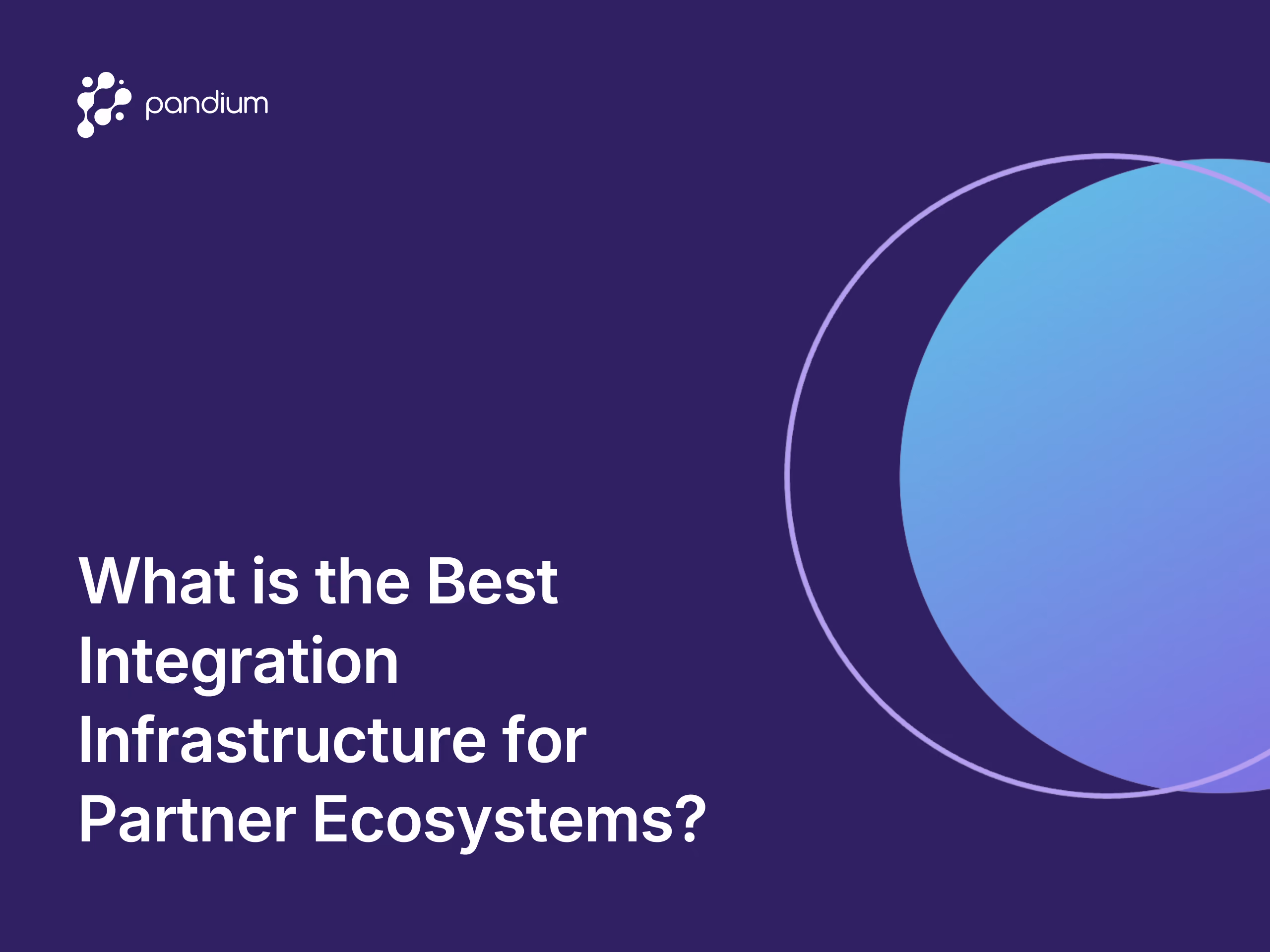 What is the Best Integration Infrastructure for Partner Ecosystems? 