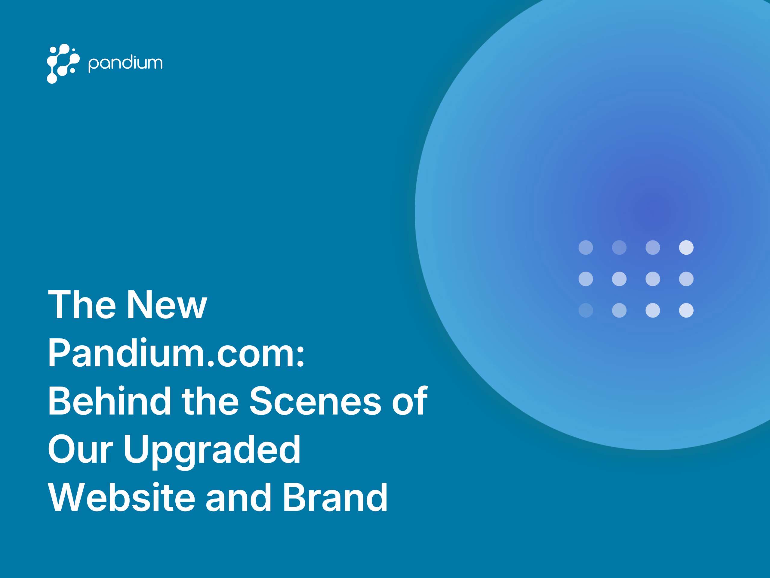 The New Pandium.com: Behind the Scenes of Our Upgraded Website and Brand