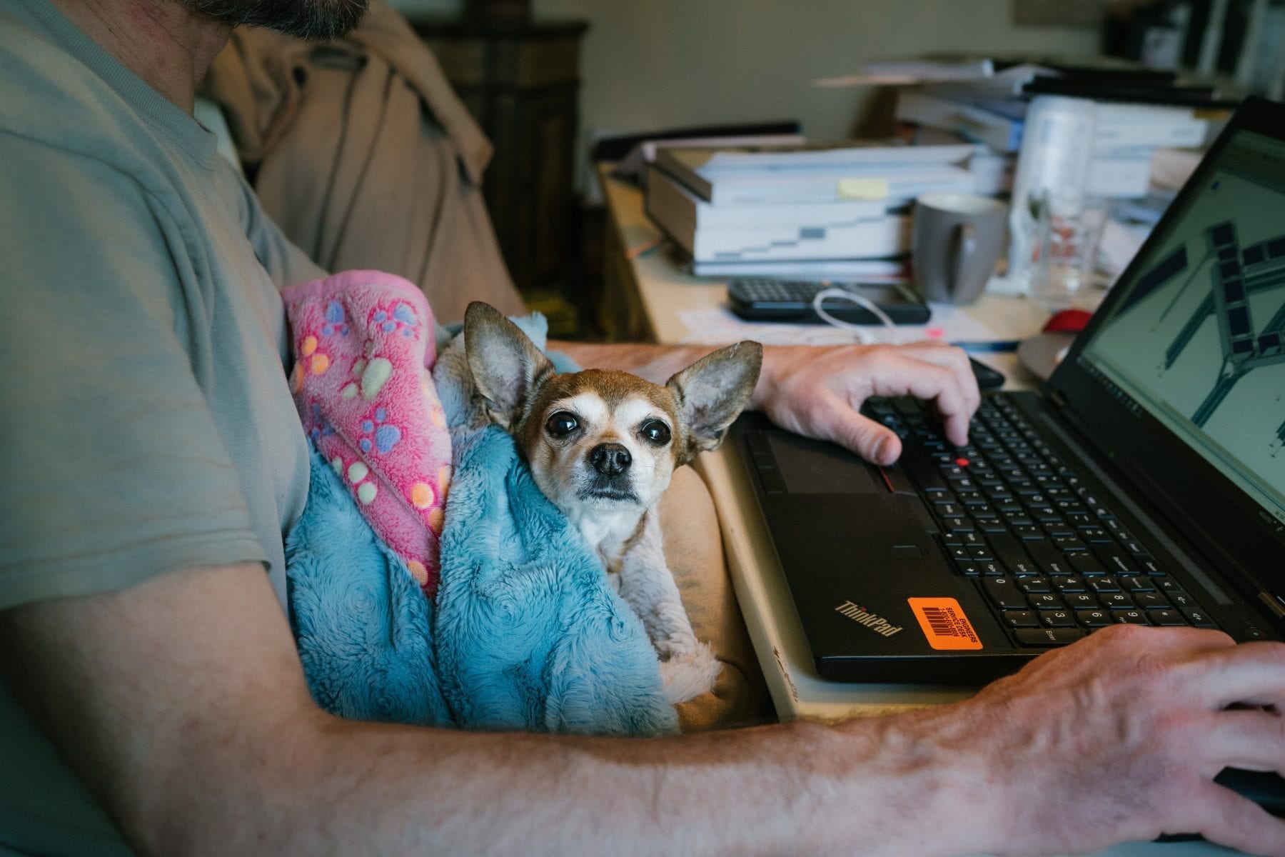 Content, COVID, and Working from Home: A Chat with Atlassian