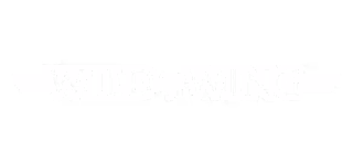 Wild Wing