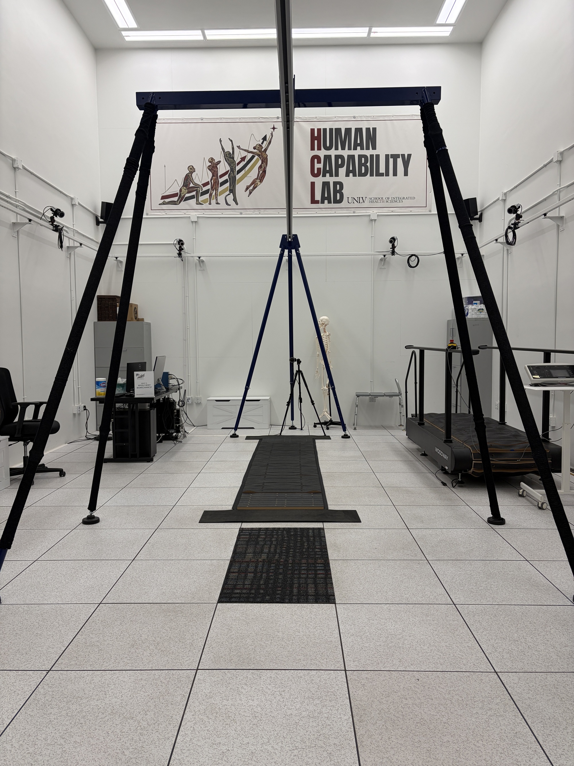 Lower limb prosthesis walking training research