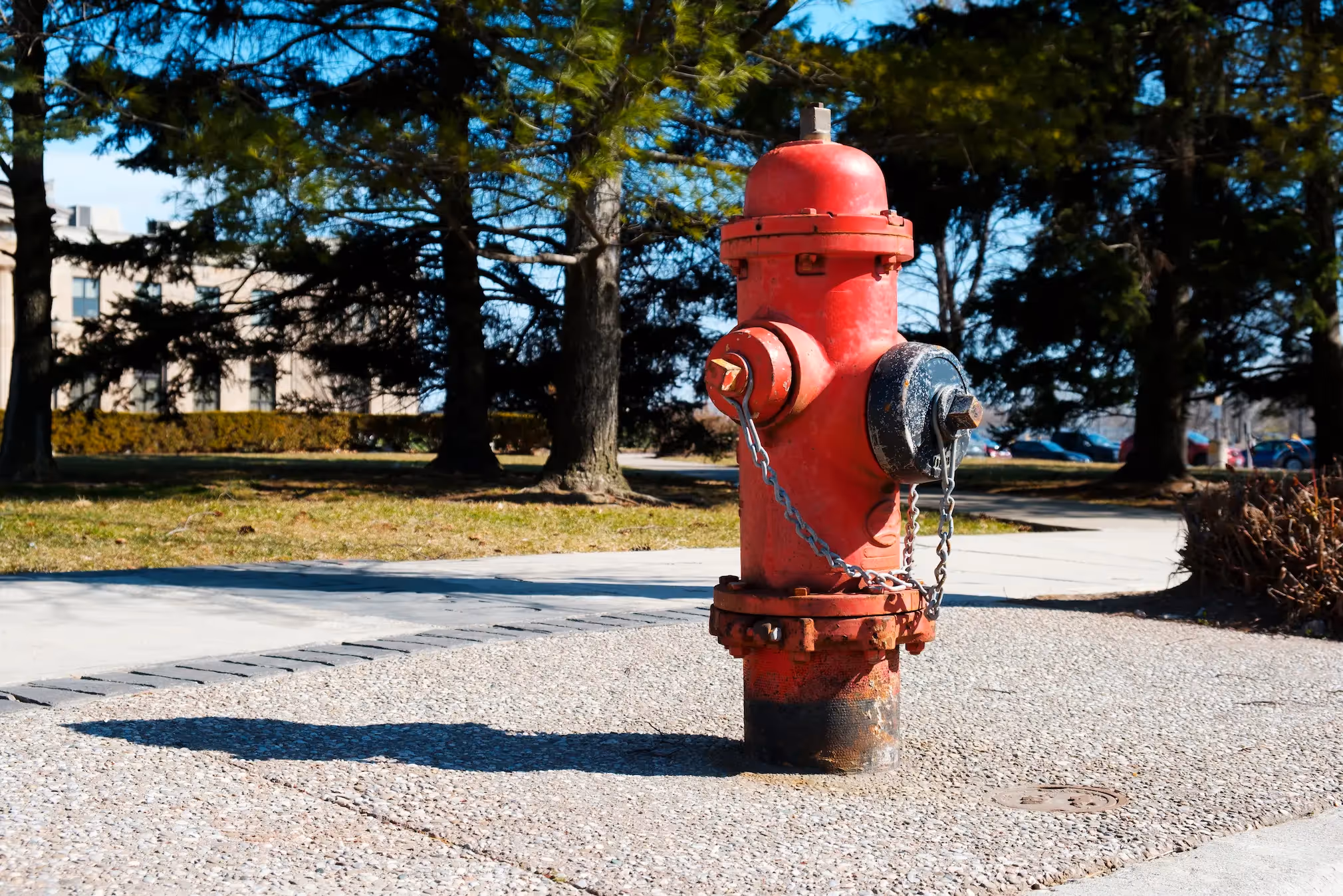 Fire hydrants in Los Angeles