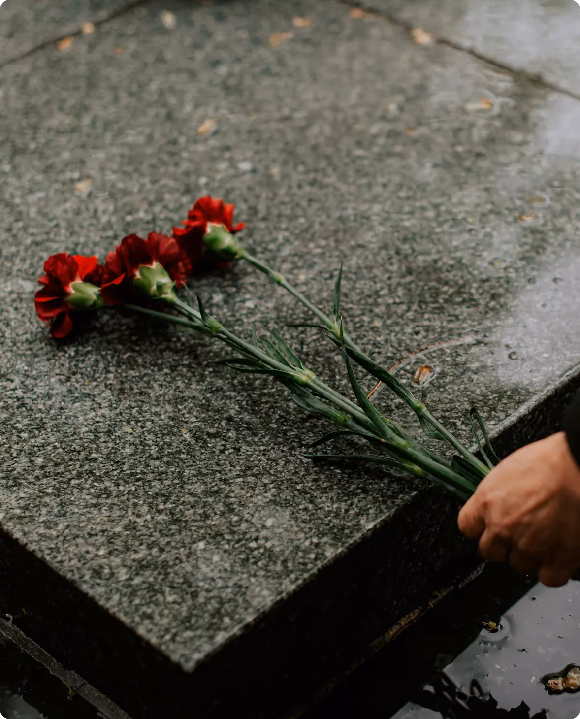 Person placing flowers on a grave to honor a loved one