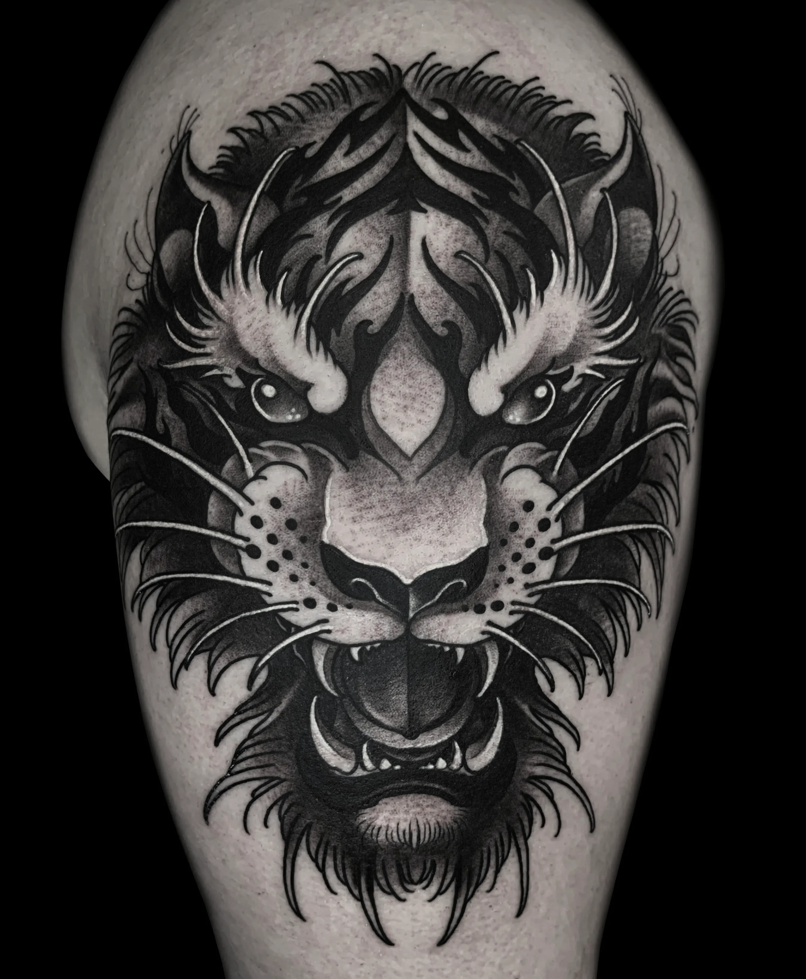 Kattedyr