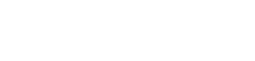 DKV Logo