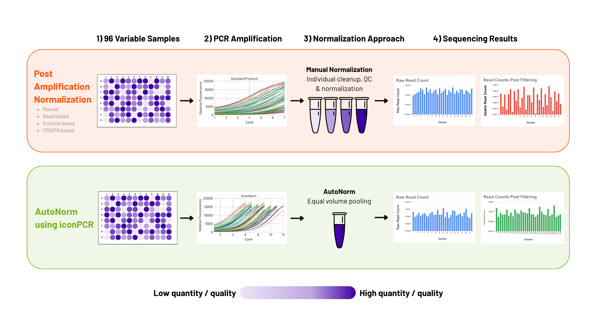 Raw read count normalization can be misleading: raw counts look similar for post-amplification normalization and AutoNorm, but read counts post filtering are uneven for post-amplification normalization and even for AutoNorm.