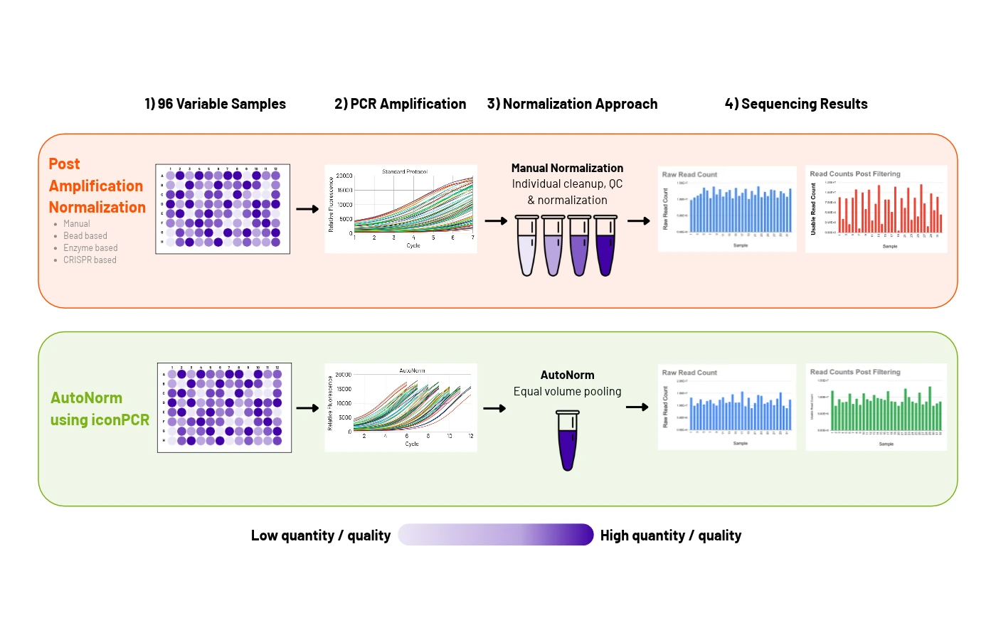 Workflow diagram comparing a standard library prep workflow with iconPCR AutoNorm. Without normalization, input variation carries through to library yield and sequencing results. With AutoNorm adaptive amplification, each sample is normalized during amplification.