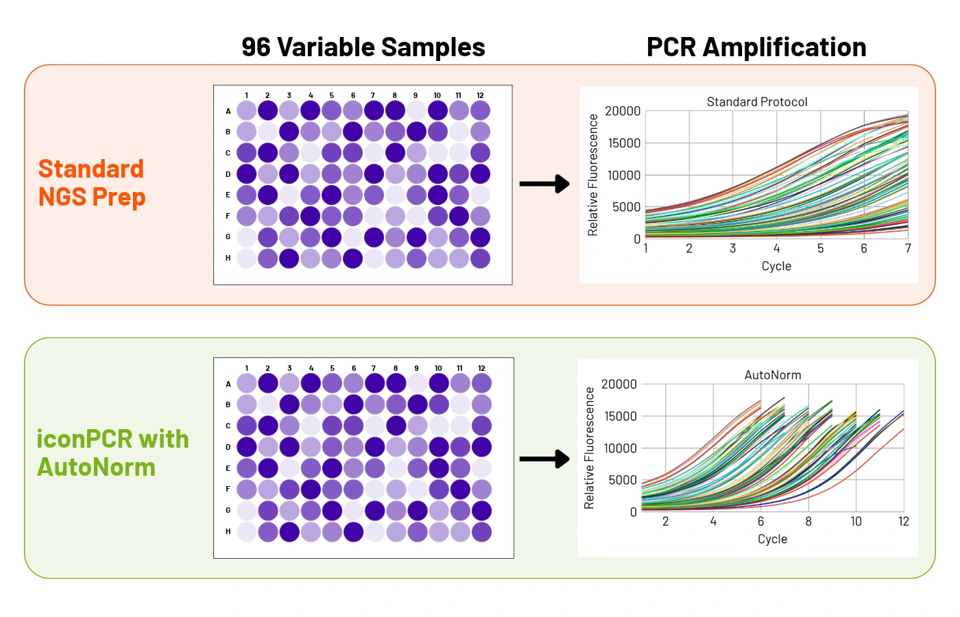 Diagram comparing standard NGS prep with iconPCR with AutoNorm for 96 variable samples. Standard PCR amplifies every well for the same fixed number of cycles, while AutoNorm stops each well at its own cycle number.